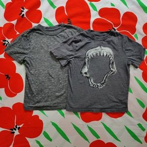 Bundle of 2 Grey Kids T-shirts Size Small | The Gap